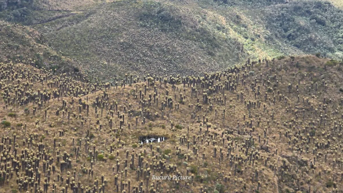 Alto del Sifón