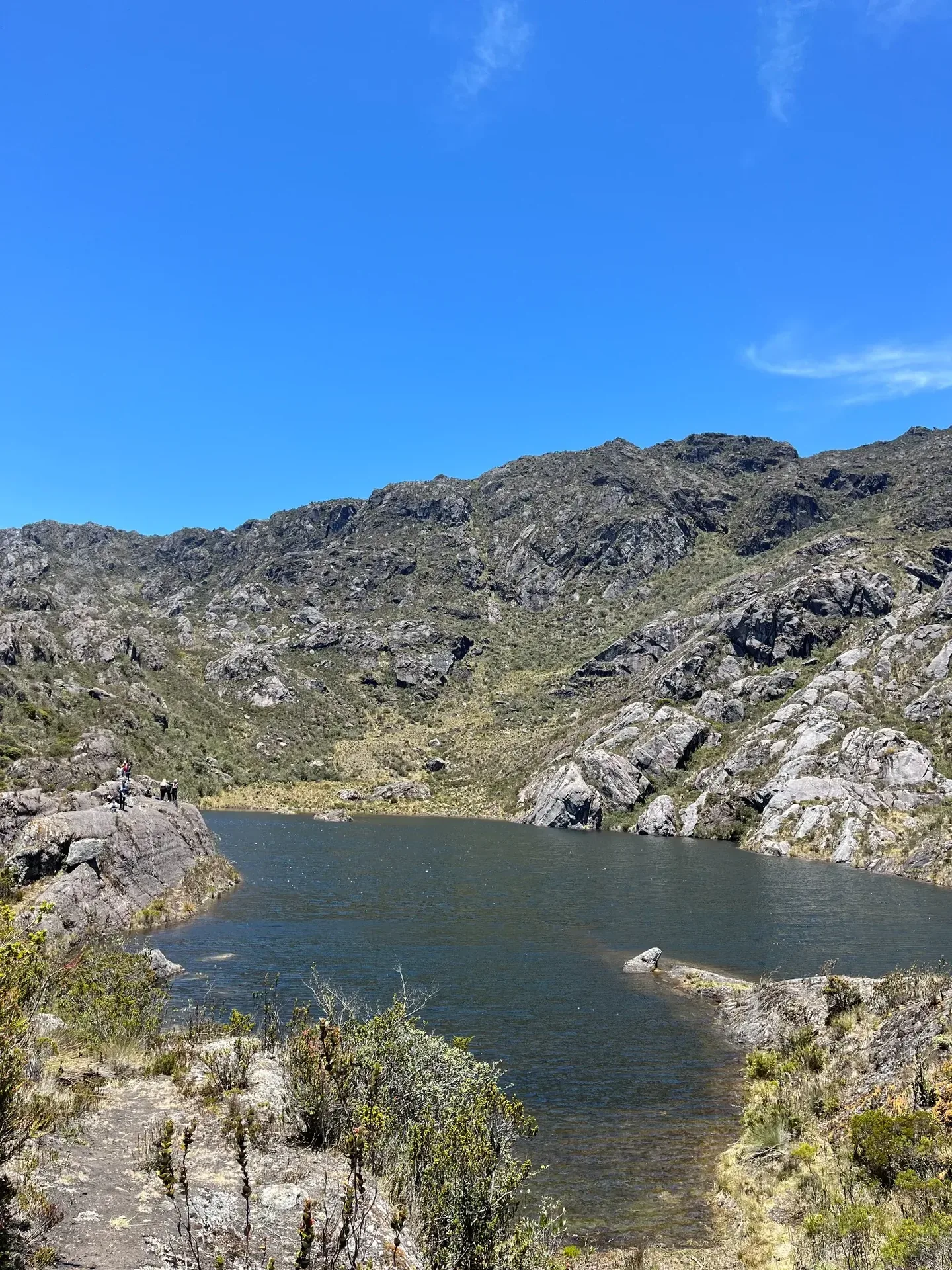 Páramo de Santurbán